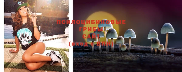 PSILOCYBIN Володарск