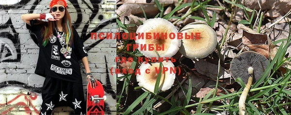 PSILOCYBIN Володарск