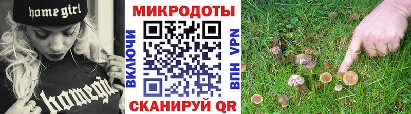 Псилоцибиновые грибы мицелий  Волжский 